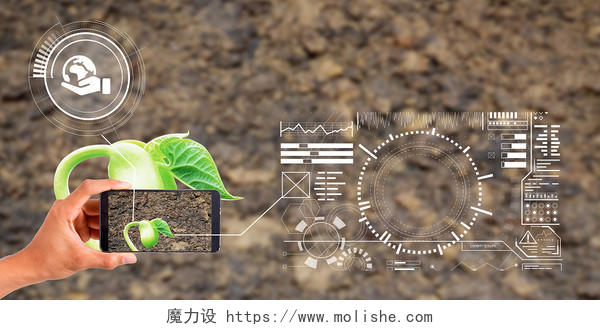 绿色小清新植物农业环保科技展板背景环保农业绿色科技